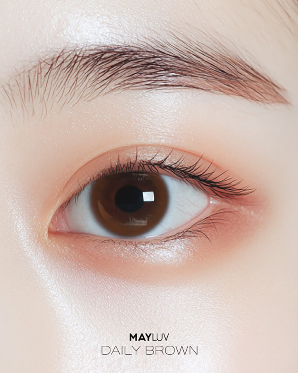 메이러브 데일리 브라운(1+1)