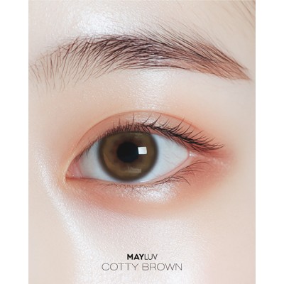 메이러브 코티 브라운(1+1)